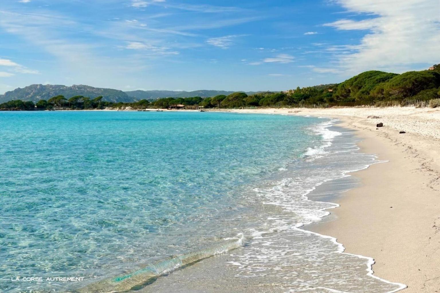 Bel Appartement Spacieux A Porto-Vecchio, 10Min A Pieds Du Centre Ville Exteriör bild